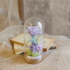 Mania flower 粉紫永生玫瑰軟木塞玻璃罩, 無須加購