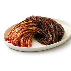 온작 이영자의 파김치, 1개, 1kg