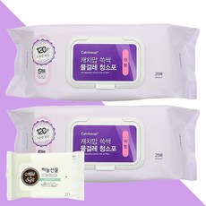 캐치맙 쓱싹 물걸레 청소포 대형 25매 2개(+휴대용 물티슈 1개), 2개