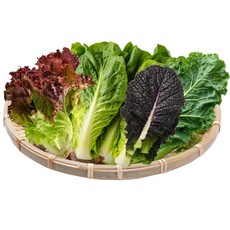 모둠 4종 쌈채소 꽃상추 청로메인 적겨자 케일, 1개, 1kg