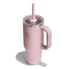 Hydro Flask 손잡이가 달린 709.8ml(24온스) 여행용 텀블러 투명 뚜껑 및 빨대 - 단열 스테인리스 스틸 버치 그레이, 24온스, 트릴륨