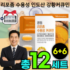 12개월 분 리포존 수용성 큐커민 커쿠민 리보좀 강황 환 캡슐 리포 존 인도 산 카레 코큐민 50대 60대 노인