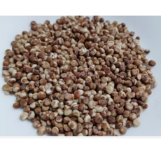 2024년 국산 찰수수 고소하고 신선한 수수쌀, 1개, 2kg