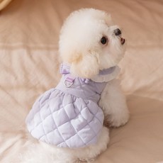 i豆寵物生活館 寵物秋冬連衣裙，純色淑女風棉衣，小型犬比熊泰迪加厚加絨保暖, 洛克黃,S（建議體重1.2.5-2.5公斤）, 1個