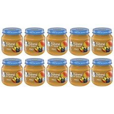 거버 푸드 과일퓨레 113g, 망고, 10개입