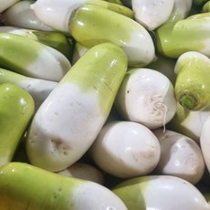 [시즌한정특가] 100% 국내산 제주도 월동무 제주 무, 1박스, 3kg(내외)