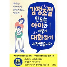 감정조절 안 되는 아이와 이렇게 대화하기 시작했습니다 : 화내는 아이에게 화내지 않고 말하기, 김영사, 노라 임라우 저 /장혜경 역