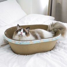 개과천선 어몽드 커비온 고양이 스크래쳐, 타원형