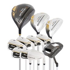 2026 Houma Ai플래티넘 DUAL X 골프채풀세트+스탠드 캐디백세트, 여성용