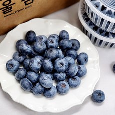 국내산 울팜 장흥 산청 블루베리 생과, 2개, 블루베리(특대)_100g