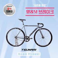 쓰나미 입문용 픽시자전거 snm100 전후 브레이크 포함 TSUNAMI, 1개, 49cm, 매트 그레이
