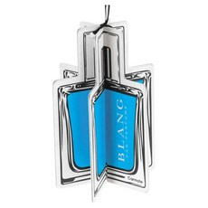 日本CARMATE BLANG 立體造型吊掛式芳香劑 香片 清新海洋 H1455, 1個