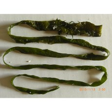 海帶王子 鹽漬海帶梗條, 600g, 1套