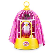 펫얼라이브 매직버드폴리 말을 따라하는 새 노래하고 소리나는 장난감 작동 인형 완구 리얼펫, 1개, 혼합, 13cm