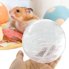 햄스터 볼 장난감