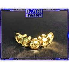 【瘋螺絲】RUN 改裝運用 ROYAL鈦合金 DRG/MMBCU 前土除專用螺絲組, 1個, 土豪金