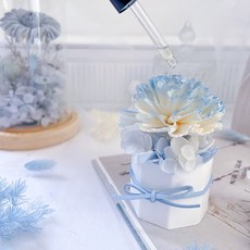 愛丁堡藍 香氛擴香花（贈送5ml香氛油）, 浪漫女神香氛擴香花愛丁堡藍（贈送5ml香氛油）