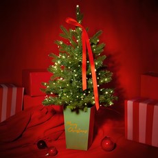 BeautifulDecoSense PE聖誕樹+USB充電式LED燈泡, 混色