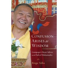 (영문도서) Confusion Arises as Wisdom: Gampopa's Heart Advice on the Path of Mahamudra Paperback, Shambhala, English, 9781590309957