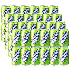 농심 웰치스 청포도 355ml 48입, 48개