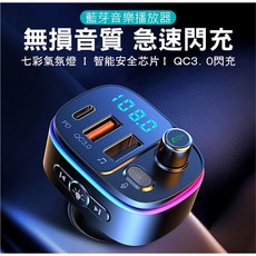 BRUCE FM 藍牙音樂播放器 支援 QC3.0 與 PD 快充, 黑色, 黑色