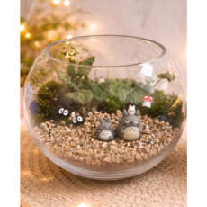 연다육 다육이테라리움DIY 키트세트 연set 원형아기토토로, 1개