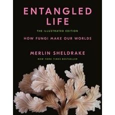 (영문도서) Entangled Life: The Illustrated Edition: How Fungi Make Our Worlds Hardcover, Random House, English, 9780593729984