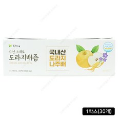 바른먹거리자연식품 자연식품 도라지배즙, 100ml, 30개