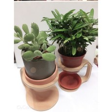 櫸木盆栽花架, 1個