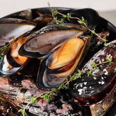 산지직송 국내산 생물 홍합 섭 자연산 생물 돌홍합 홍합탕 구이용 캠핑용 중 대 특대 1kg 2kg 3kg, 1개, 1kg (중 11~14미)