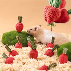 햄찌무드 햄스터 이갈이 간식 동결건조 과일 딸기 15P, 1세트