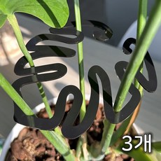 파파가든 몬스테라(블랙) 식물지지대, 3개