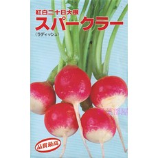【野菜部屋】紅白二十日大根(蘿蔔)種子 早生品種 採收快, 1包