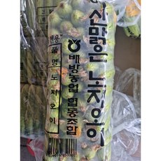 가락싱싱 (이슬먹은)배방오이 노지 오이지, 1개