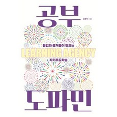 공부 도파민 : 몰입과 즐거움이 만드는 자기주도학습, 한울림, 김영득 저