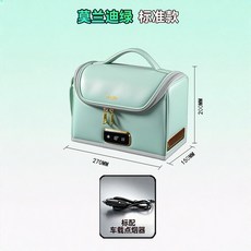 차량용냉장고 미니 휴대용 냉장 보온 가열 수납함, 모란디 그린 스탠다드 (차량용)