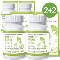 혈행엔 센시엔 징코를더하다, 60정, 4박스