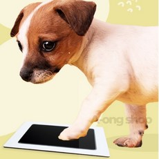 아옹샵 강아지 발도장 고양이 아기 스탬프 도장찍기, 검, 1개