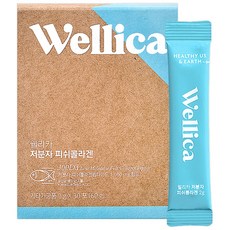 웰리카 저분자 피쉬 어린콜라겐 펩타이드 300달톤 이너뷰티, 1개, 60g