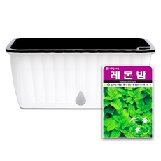 라운드오프 간단한 저면관수 텃밭화분 set, 텃밭화분+레몬밤