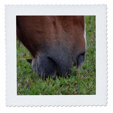 3D 장미 말 구 방목 25x25 인치 퀼트 스퀘어, 6x6