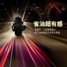 楊梅電池 勁芯鋰鐵電池 LF09 LF10 LF12 LF-5L 6V 8VH 8VS 送充電器, 1個, 快速充電器4A 14.5V, 1