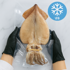 미자네농수산 반건조 오징어, 1개, 950g내외(10마리)