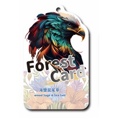 森林卡片 Forest Card 木質鼠尾草海鹽香氛片 室內香氛 衣櫥香氛 車用香氛, 圖騰炫彩老鷹(1入), 海鹽鼠尾草