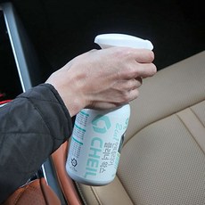 차량 변색방지 세정제 시트 찌든때제거 광택코팅제, 1개, 500ml