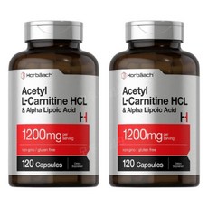 호바흐 아세틸 L 카르티닌 엘 카르니틴 HCL 알파리포산 1200mg 120캡슐 2개, 2팩, 120정