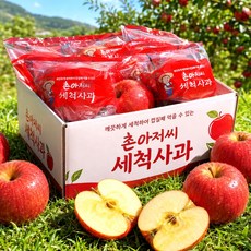 [타임특가] 껍질째먹는 초간편 세척사과 꿀당도 부사사과, 1박스, 5kg