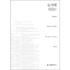 눈사태(큰글씨책), 지식을만드는지식