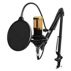 유튜브 개인방송용 3.5mm 콘덴서 마이크 (VM-800) nys+865jf