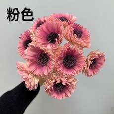 花藝夢 百日菊索拉 6公分 乾燥花/永生花/不凋花/擴香花/畢業花束 (整把十支), 粉色